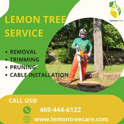 Family Owned and Operated - At Lemon Tree, we believe in accessible top-tier tree care. Our competitive pricing ensures you get exceptional services without emptying your wallet. Give us a call today!