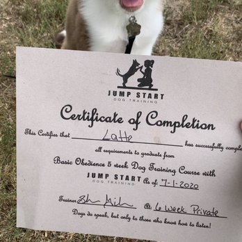 Jump Start Dog Training - Latte's graduation! - Pet Training Near Me