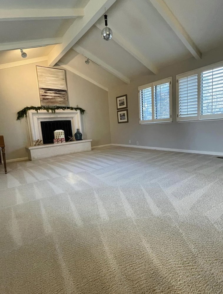 PRO STEAMER’S CARPET CARE 46 Photos Jackson, Mississippi Carpet