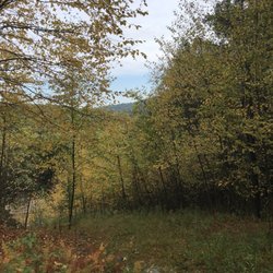 Cranberry Run Campground