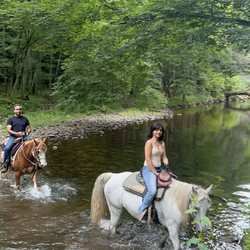 Serene Horse Ranch