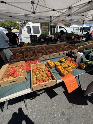 Napa Farmers Market by null