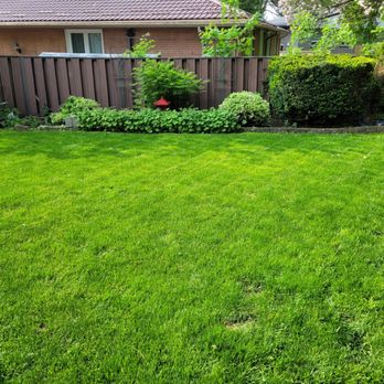 Rich Lawn Maintenance - a well maintained lawn - Lawn Services Near Me Rich Lawn Maintenance - a well maintained lawn - Lawn Services Near Me