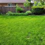 Photo of Rich Lawn Maintenance