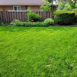 Rich Lawn Maintenance