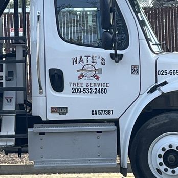 Nate's Tree Service - Chopping down trees in Fremont, CA! - Tree Services Near Me - Sonora, California