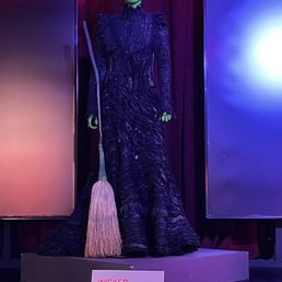 Outfit from Wicked