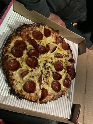 Pizza Cat by null