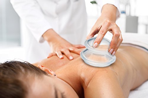 Whole Body Health Logo