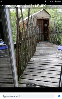 Savannah's Meadow by null