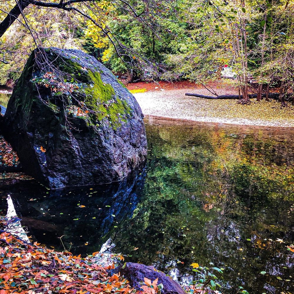 Fernwood Resort - River - Hotels Near Me - Big Sur, California Fernwood Resort - River - Hotels Near Me - Big Sur, California