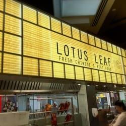 Lotus Leaf