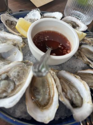 Fisch & Flore by null