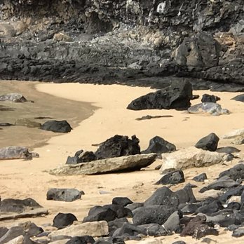 Capt Andy's - Three turtles - Boat Tours Near Me - Ele'ele, Hawaii