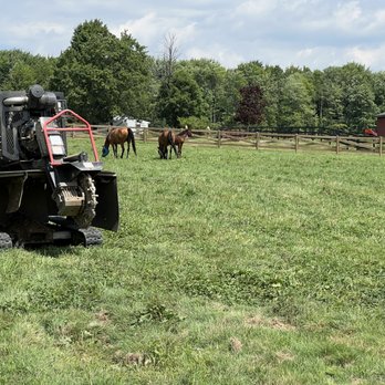 Ripley Stump Grinding - Tree Services Near Me - Chagrin Falls, Ohio Ripley Stump Grinding - Tree Services Near Me - Chagrin Falls, Ohio