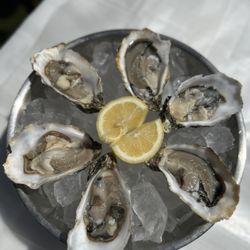 Hot Shrimp Mami - Oysters