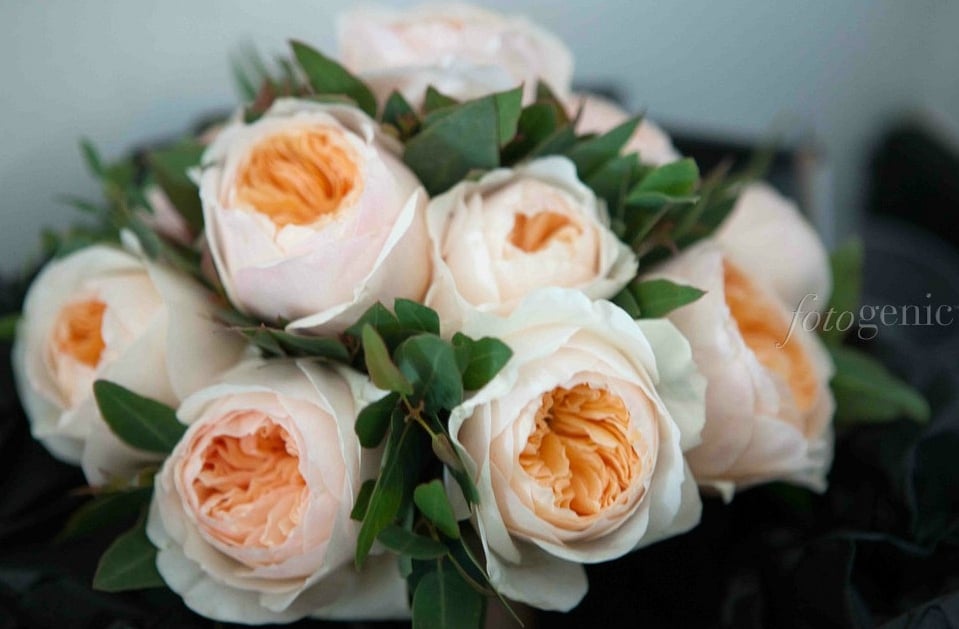 ROOTS FRUITS AND FLOWERS 48 Photos & 35 Reviews 455 Great Western