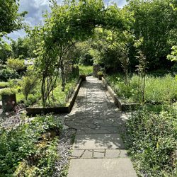The Burren Perfumery - Lovely garden