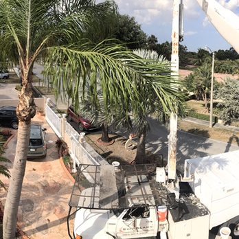 SupraLawn - Panoramic views - Tree Services Near Me SupraLawn - Panoramic views - Tree Services Near Me