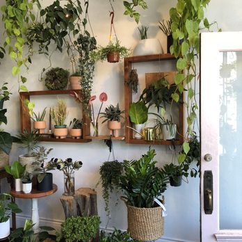 Starflower - Florists Near Me - Portland, Oregon Starflower - Florists Near Me - Portland, Oregon