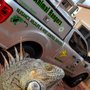 Photo of Animal Rangers