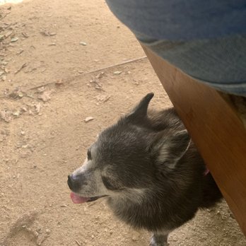 Handline - Dog friendly - Seafood Near Me - Sebastopol, California