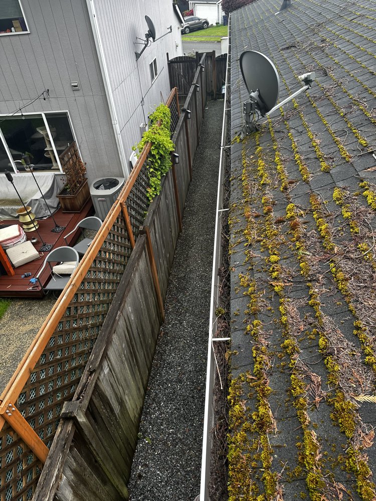 Slide of Apex Pro Kleening