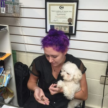 Live Love Pet - Pet Groomers Near Me - Honolulu, Hawaii Live Love Pet - Pet Groomers Near Me - Honolulu, Hawaii