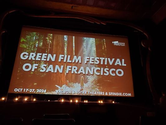 4 Star Theater by null