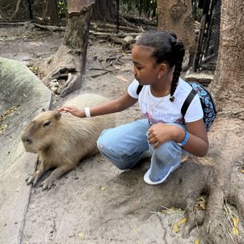Monkey Jungle - Zoos Near Me - Miami, Florida