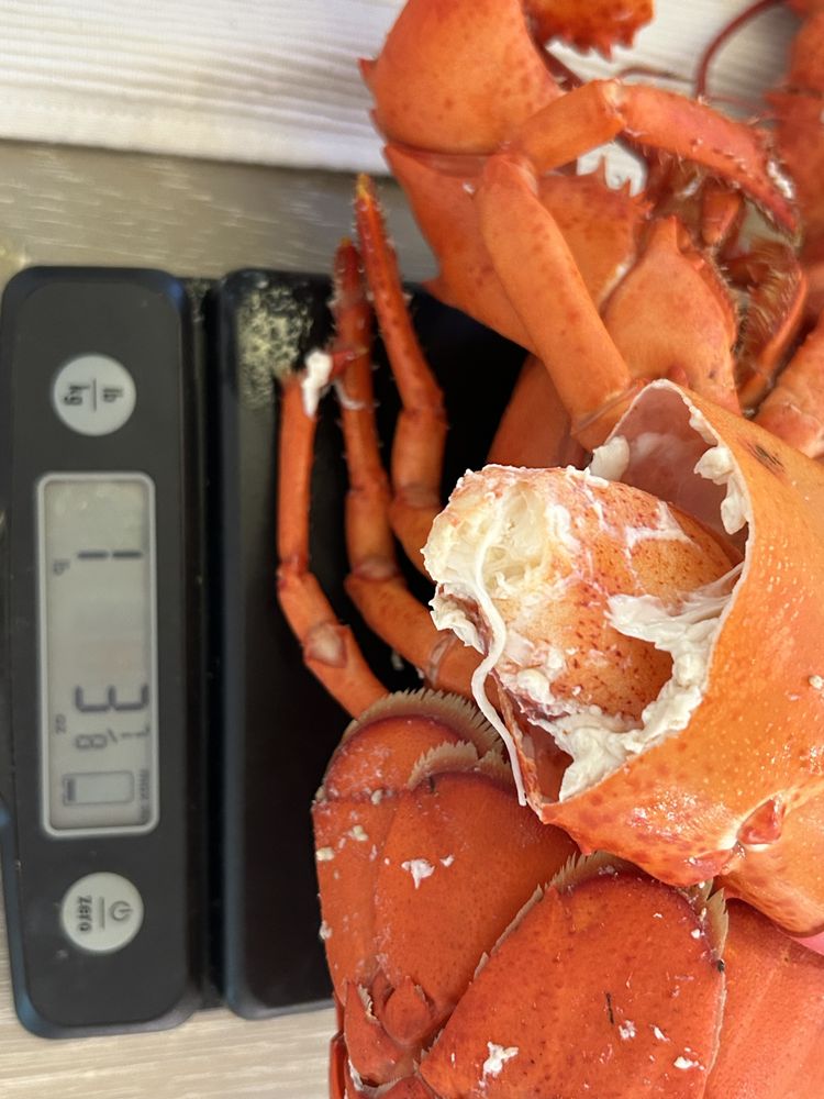 Edgartown Seafood Logo