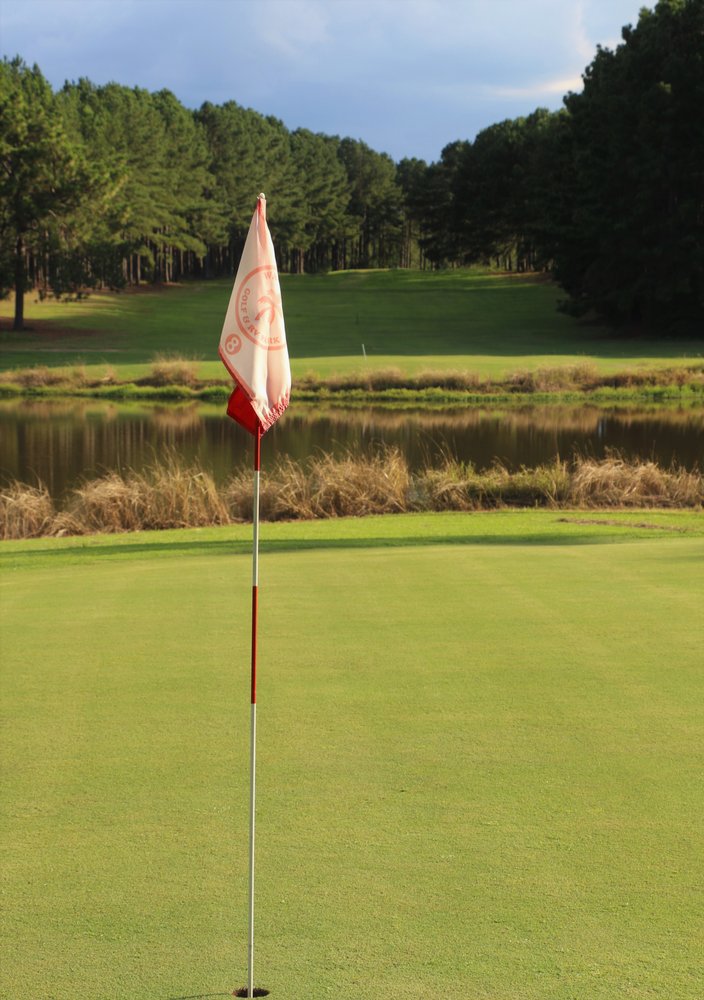 WANEE LAKE GOLF & RV PARK Updated April 2024 17 Photos 3821 Ga