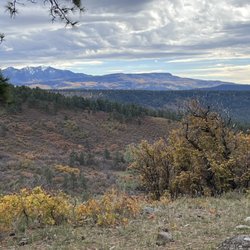 Majestic Outfitters