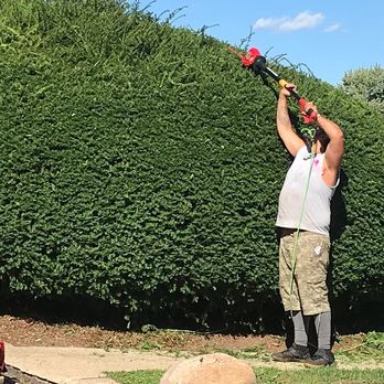 Get Lit Get Wet - a man trimming a hedge - Irrigation Near Me Get Lit Get Wet - a man trimming a hedge - Irrigation Near Me