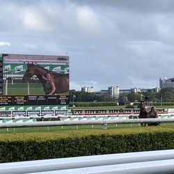 Royal Randwick Racecourse