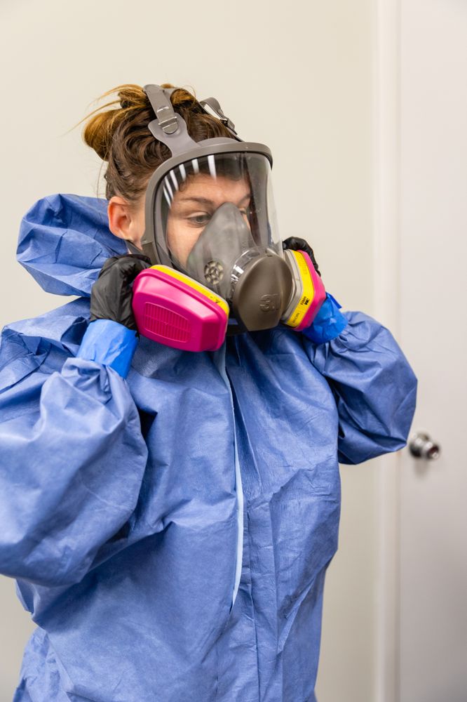 PuroClean - veterans service organization in Jacksonville, FL