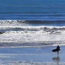 North Beach - Surf's Up!