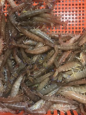 D&K Live Seafood by null