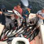 Photo of Brothers Sport Fishing