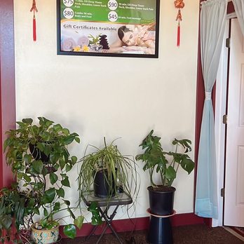 Chin Massage Denver - Massage Therapy Near Me - Denver, Colorado Chin Massage Denver - Massage Therapy Near Me - Denver, Colorado