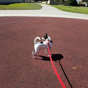 Lowry Park - Parks Near Me - Fremont, California Lowry Park - Parks Near Me - Fremont, California