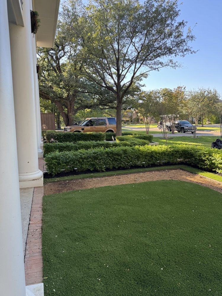 Slide of Southern Roofs and Roots