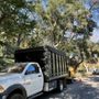 Photo of Reveles Tree Service