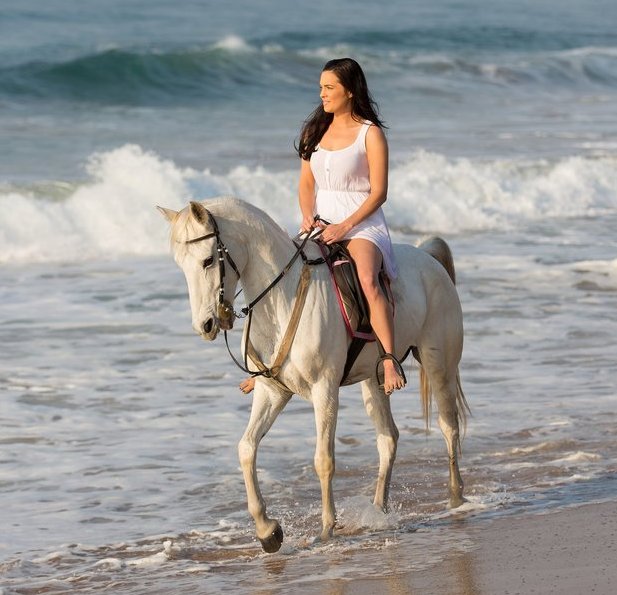 Wild Horses Adventures - equestrian in Huffman, TX