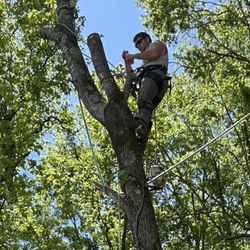 Doran’s Tree Service