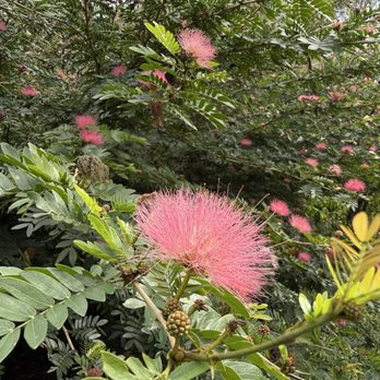 Mead Botanical Garden - Botanical Gardens Near Me - Winter Park, Florida