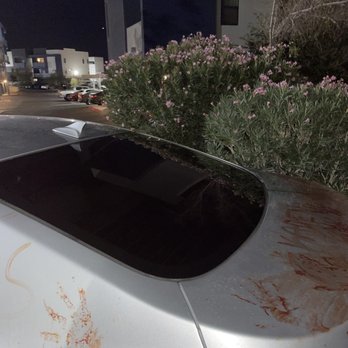 Precision Window Tint - Car tint - Car Window Tinting Near Me - Henderson, Nevada
