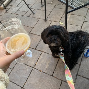Foam Brewers - Puppy and BEER. - Breweries Near Me - Burlington, Vermont