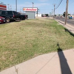 Alexander's Land & Trees