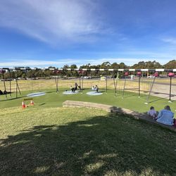 Blaxland Riverside Park - Swing area
